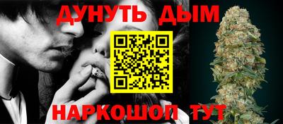 амф Бийск